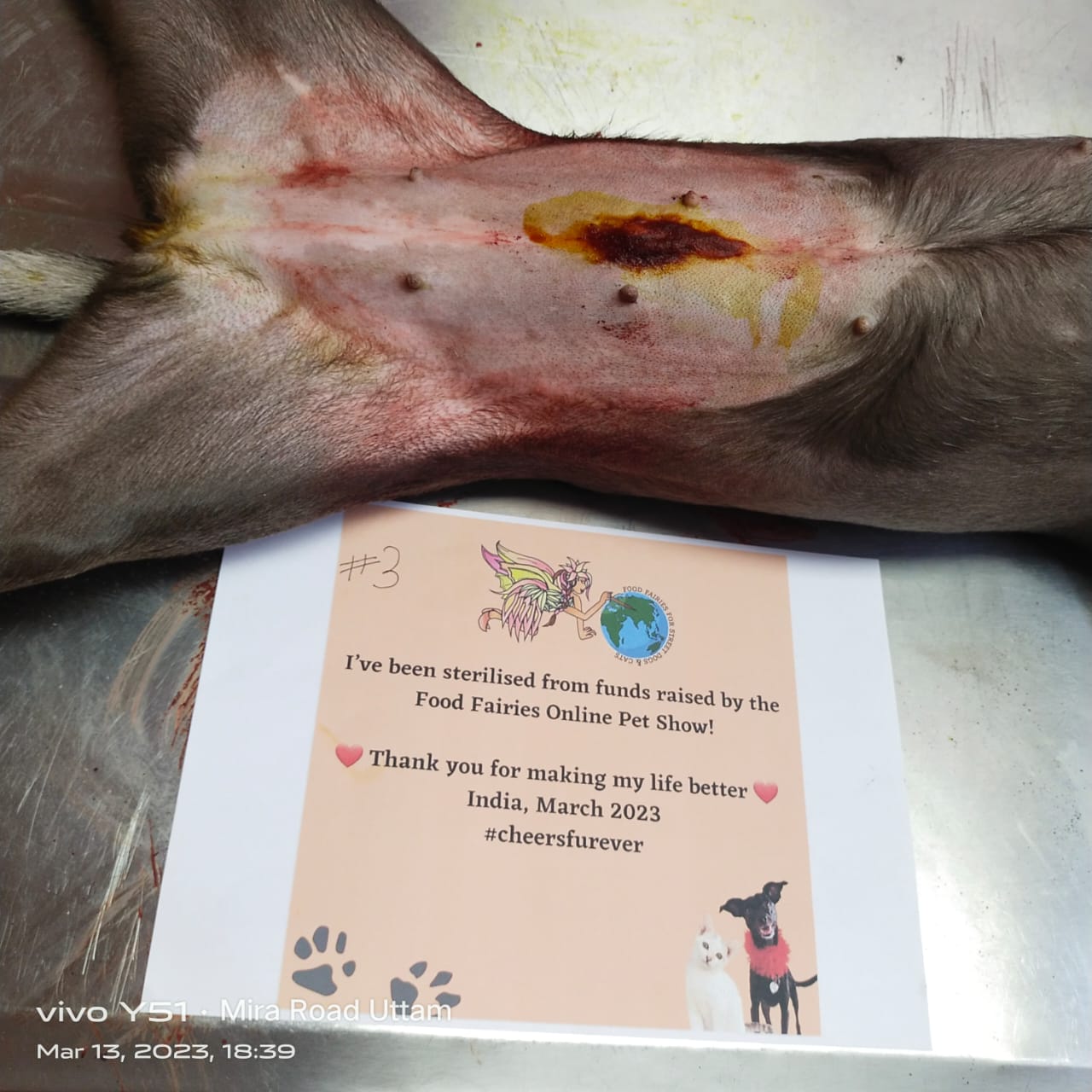 Food Fairies UK sterilization partnering