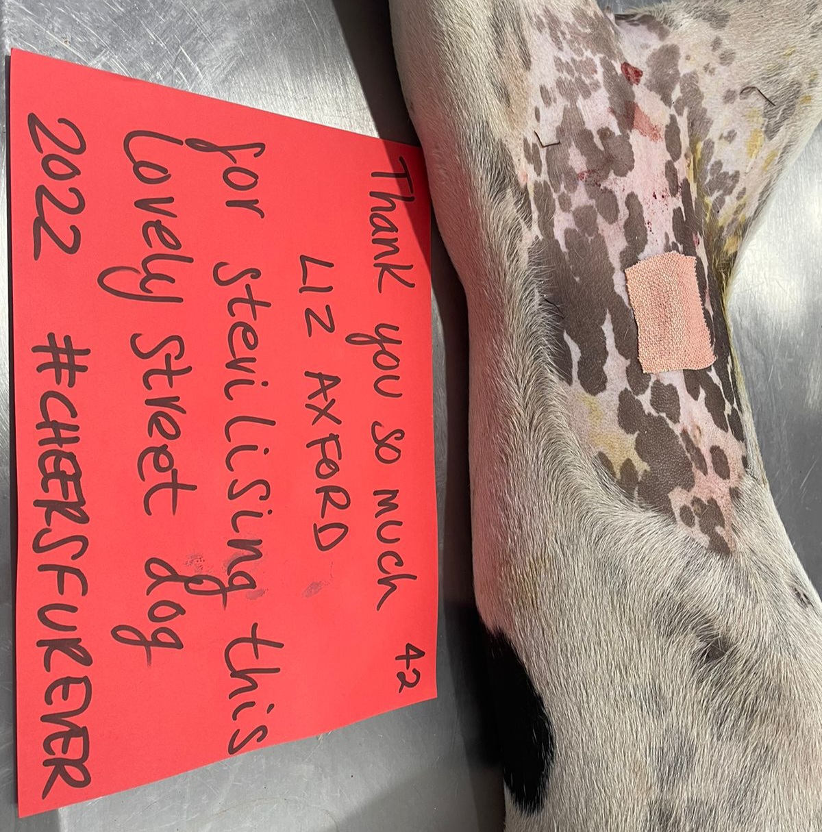 Food Fairies UK sterilization partnering