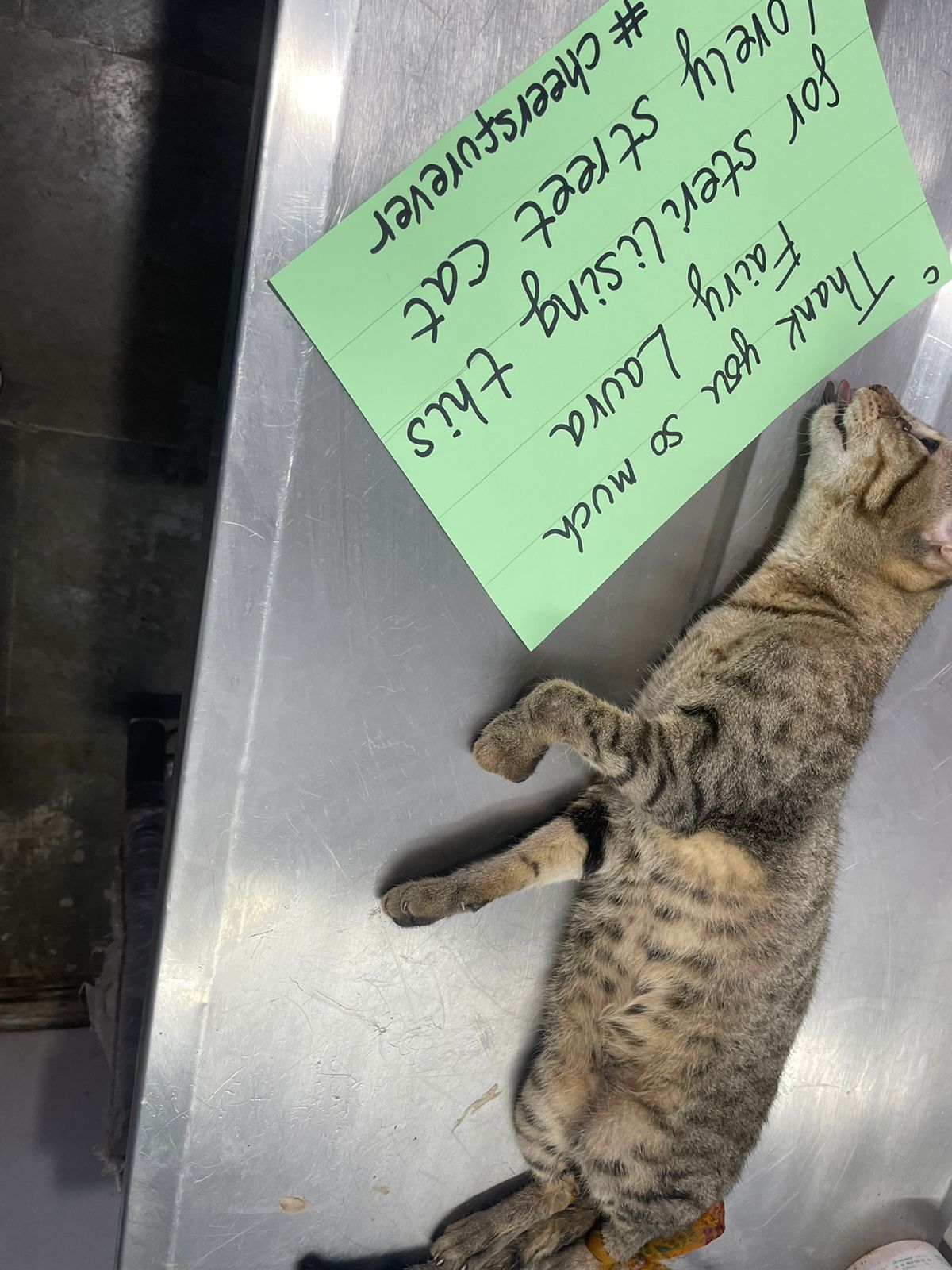 Food Fairies UK sterilization partnering