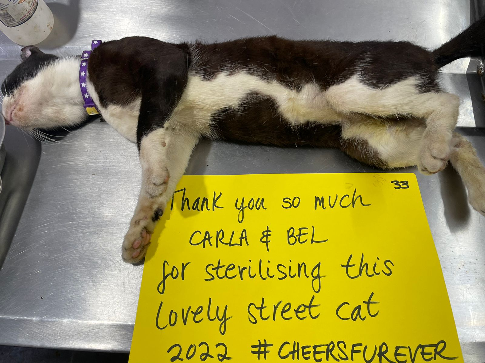 Food Fairies UK sterilization partnering